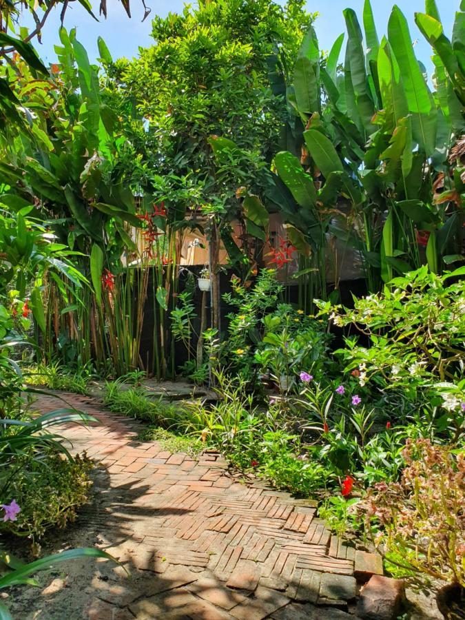 Vila An Bang Hideaway Hoi An Exteriér fotografie